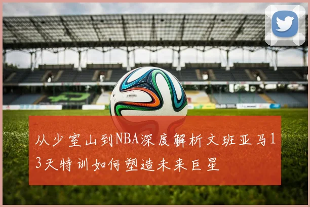 从少室山到NBA深度解析文班亚马13天特训如何塑造未来巨星
