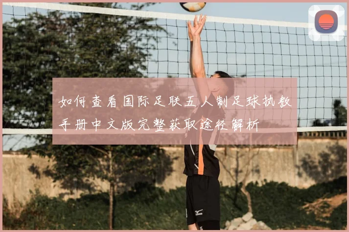如何查看国际足联五人制足球执教手册中文版完整获取途径解析