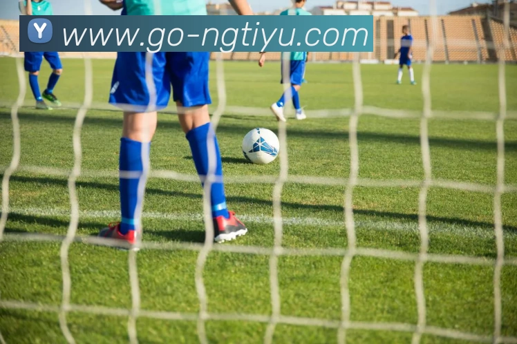 NG体育：引领数字化竞技内容传播与交互的新标准平台生态图